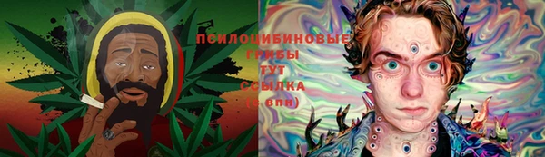 тгк Медногорск