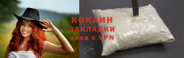 тгк Медногорск